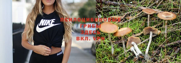 меф Бородино