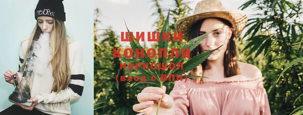 индика Строитель